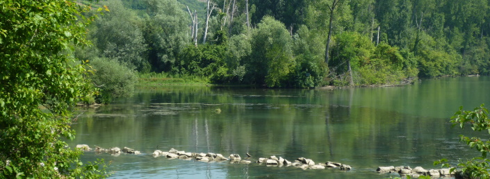 Abords du Rhône, 2010, SMRR