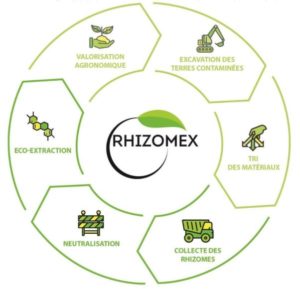 rhizomex 2