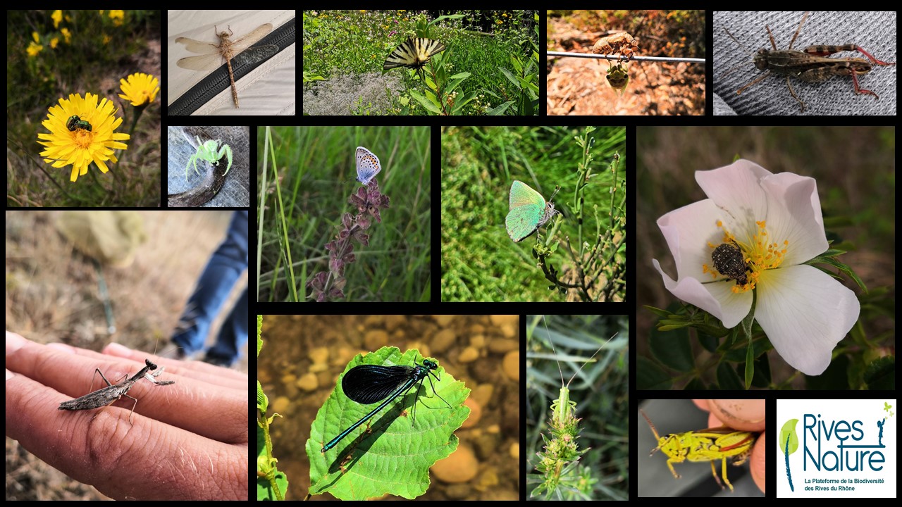 Photo montage